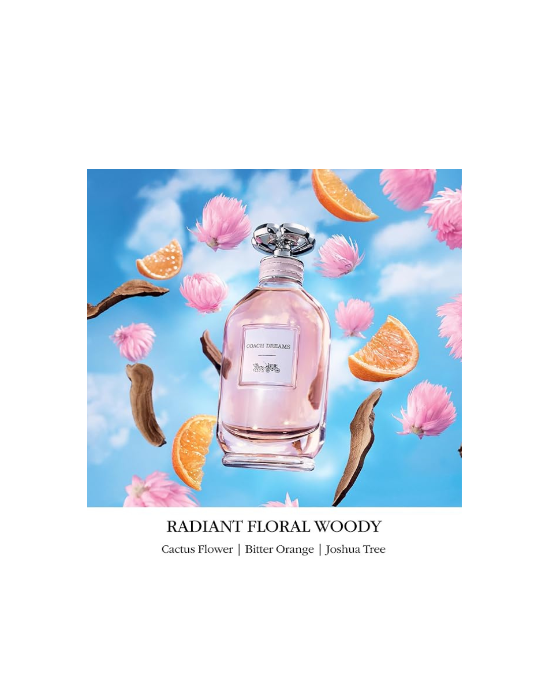 Coach Dreams Eau de Parfum 90ml (Women)