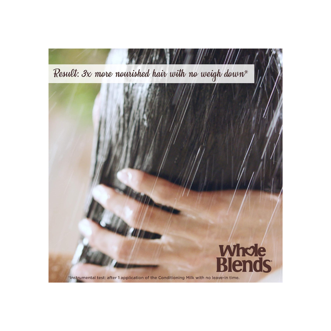 Garnier Whole Blends Conditioning Milk Restoring Maple, 250 Milliliters