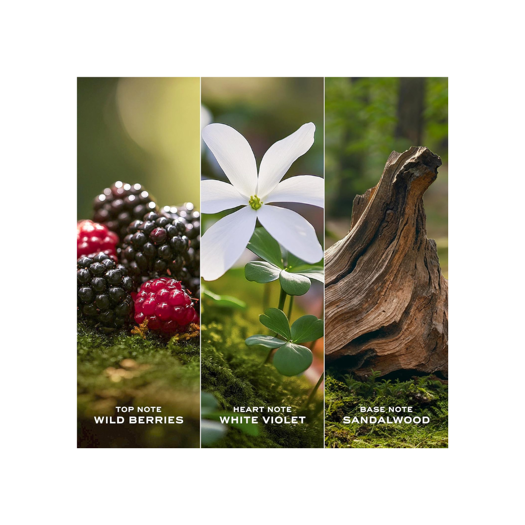 Marc Jacobs Daisy by for Women Eau De toilette Spray, 100ml