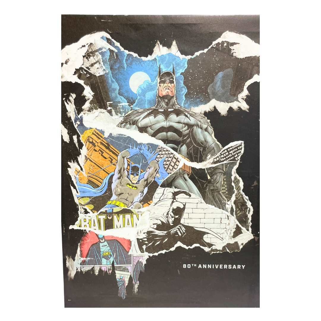 DC COLLECTION OF BATMAN CANVAS DIMENSIONS 17LX 24H