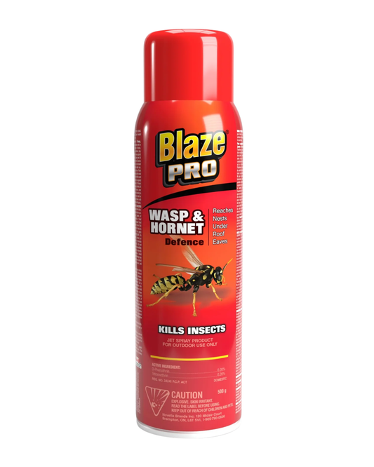 Blaze Pro Wasp & Hornet Killer 400g