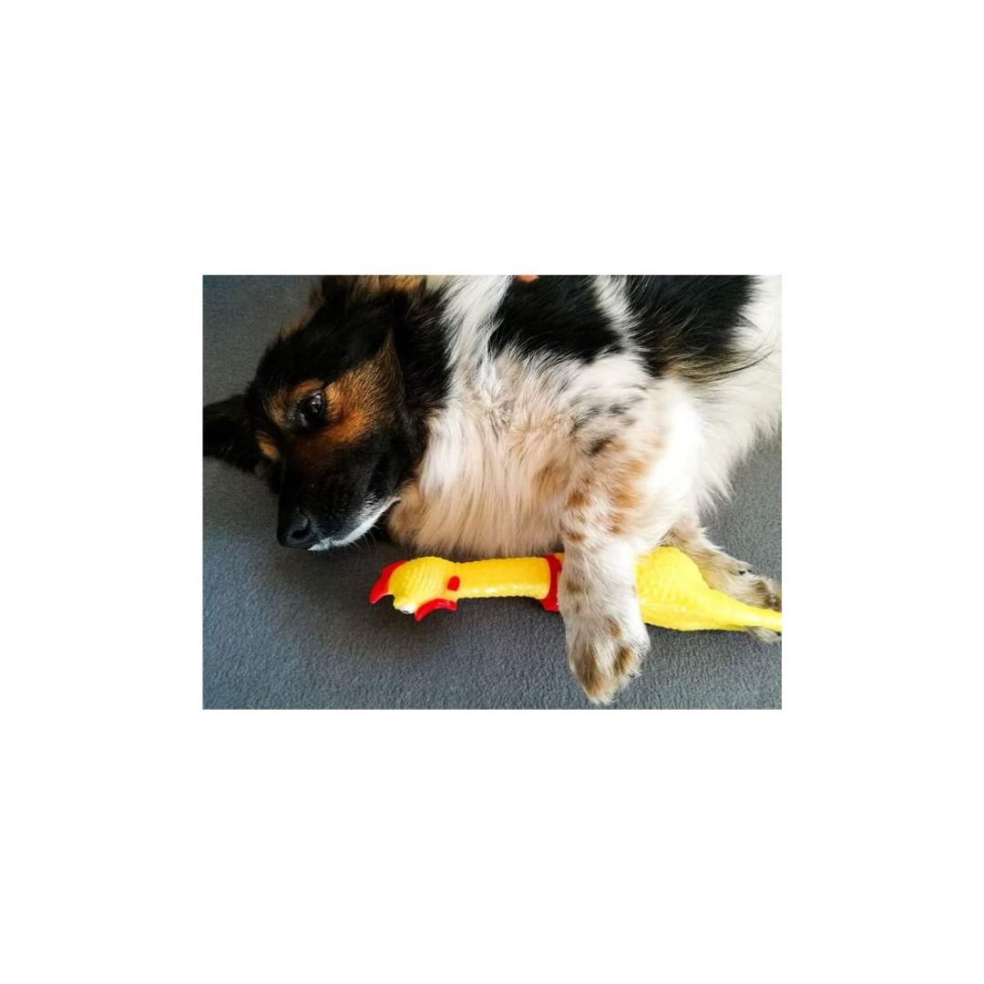 PET TOYS Screaming Chicken, Yellow Rubber Squeezing Chicken Toy Novelty and Durable Rubber Chicken for Kids and Dogs, Rubber Chickens