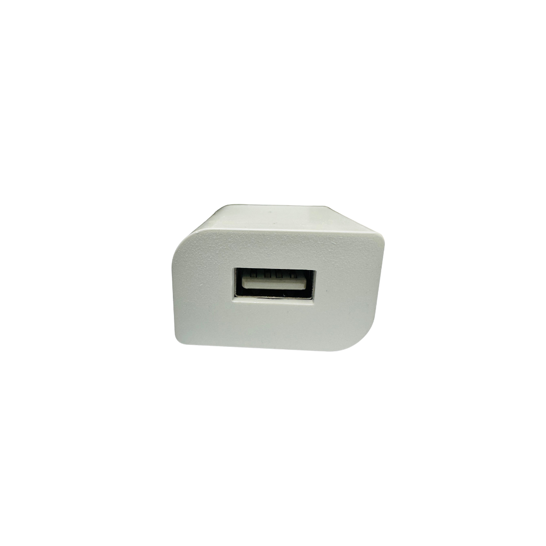 SMART ADAPTER CHARGER WALL PLUG  AC/DC ADAPTER CSA APPROVED INPUT 100-240V - 50/60HZ / 0.2A